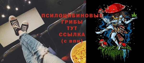 СК Нея
