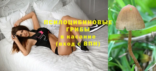 ECSTASY Надым
