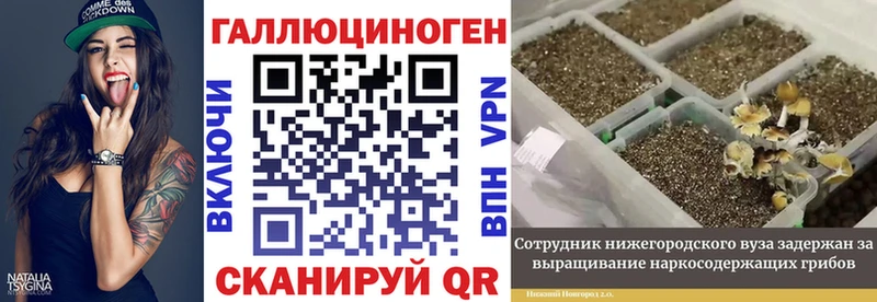 Галлюциногенные грибы мицелий Неман